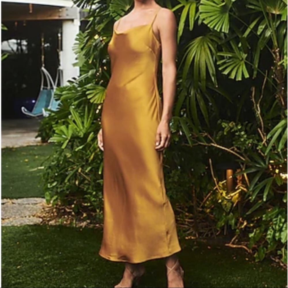 Express silk dress